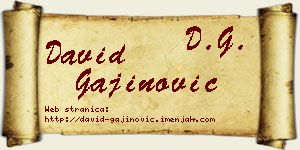 David Gajinović vizit kartica